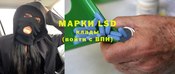 гашик Алексин