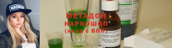 гашик Алексин