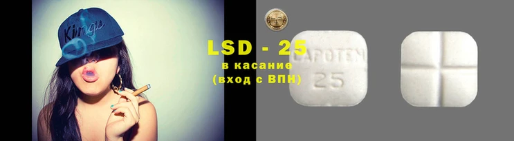 гашик Алексин