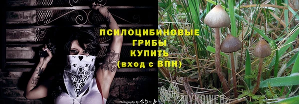 гашик Алзамай