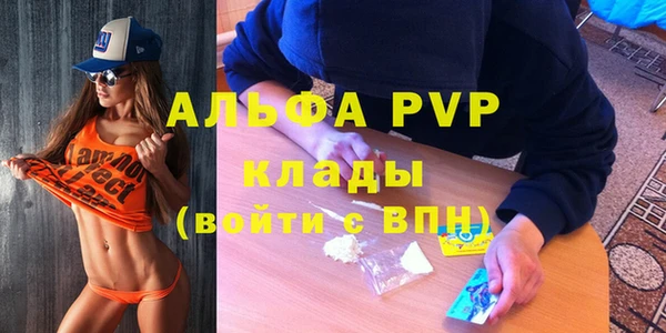 гашик Алексин