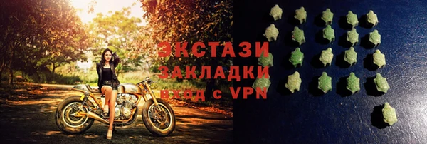 гашик Алексин