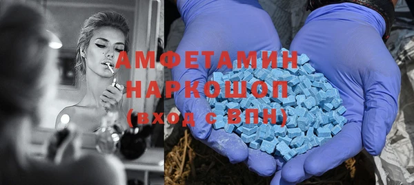 гашик Алексин